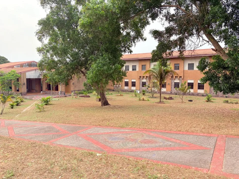 Le bâtiment principal de l’école vu depuis le parc, un grand arbre au premier plan et l’allée dallée qui mène à l’entrée.